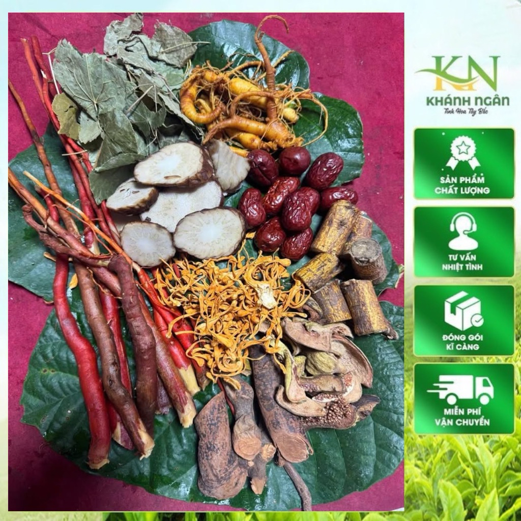 Set ngâm  bổ thận 1.5kg – Sâm Trường Bạch, Dâm dương hoắc, Nhục thung dung, hàng rừng Tây Bắc