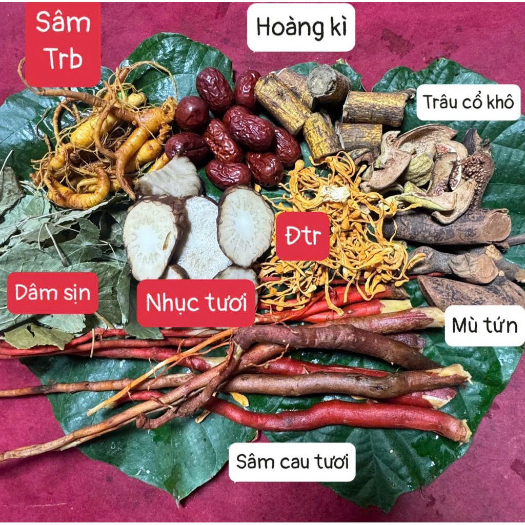 Set ngâm  bổ thận 1.5kg – Sâm Trường Bạch, Dâm dương hoắc, Nhục thung dung, hàng rừng Tây Bắc