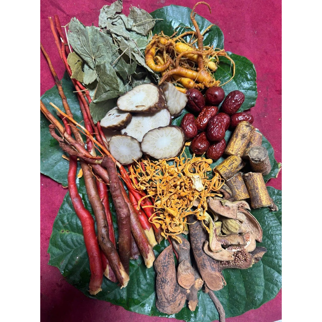 Set ngâm  bổ thận 1.5kg – Sâm Trường Bạch, Dâm dương hoắc, Nhục thung dung, hàng rừng Tây Bắc