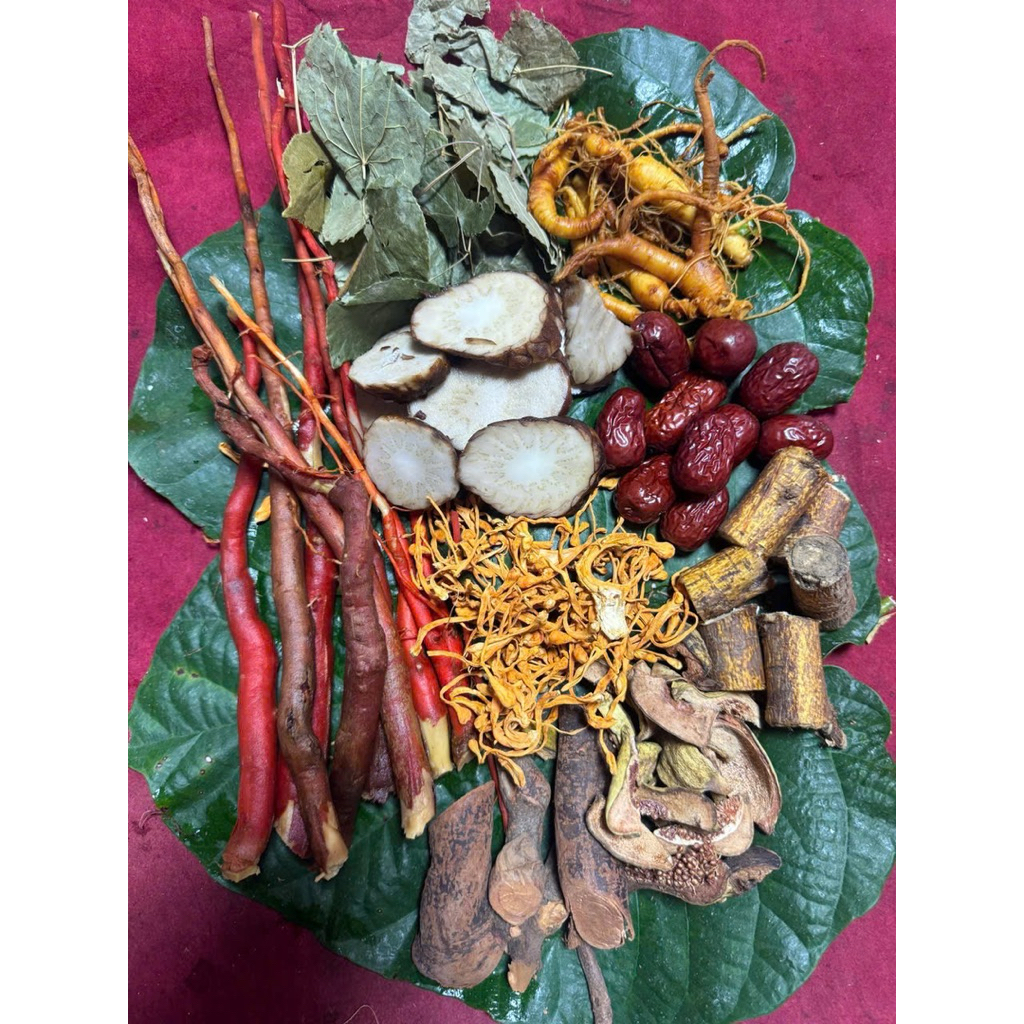 Set ngâm  bổ thận 1.5kg – Sâm Trường Bạch, Dâm dương hoắc, Nhục thung dung, hàng rừng Tây Bắc
