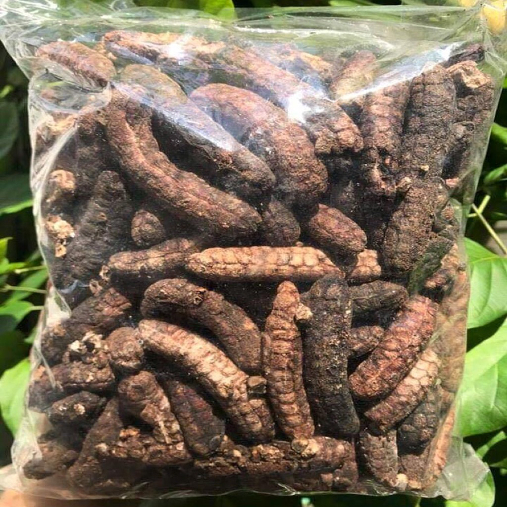 1Kg Chuối Hột Rừng Khô, Thơm, Sạch Giảm Đau Xương Khớp, Ngừa Gout...