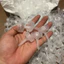 Nắp Ấp Artemia | Phụ Kiện Oxy Co2