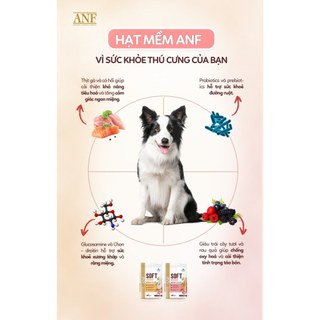[MUA 2 TẶNG 1-1.2KG] ANF Soft  - Thức ăn hạt mềm cho Chó, Dễ nhai, Giàu dinh dưỡng, Hỗ trợ tiêu hóa khỏe mạnh 1.2kg