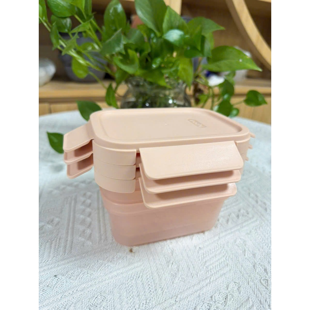 Bộ 3 hộp thực phẩm NẮP GÀI Hokkaido từ nhựa nguyên sinh kháng khuẩn, khử mùi, màu pastel xinh xắn