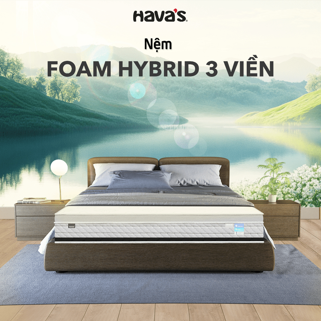 Nệm Foam Hybrid 25cm Hava's Mattress Đệm Gồm Lò Xo Túi Độc Lập Cùng 2 Tầng Cao Su Non
