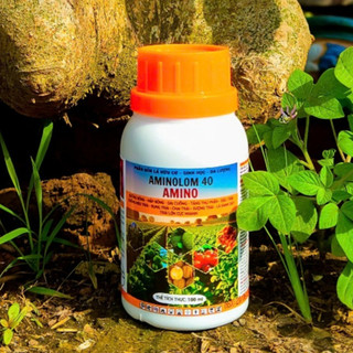 Hữu Cơ Sinh Học AMIONOLOM 40 Xanh Lá - Mập Thân -Kích Bông - Phục Hồi Cây Sau Thu Hoạch