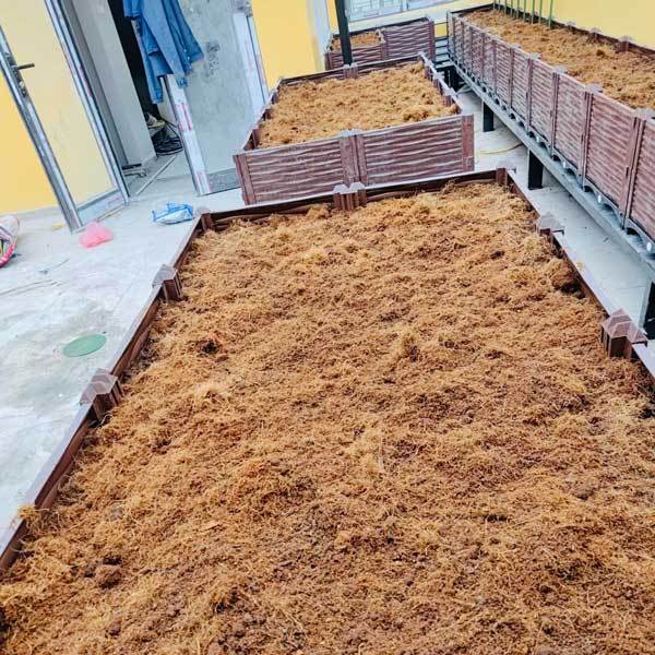 Xơ Dừa Sạch Đã Qua Xử Lý Mầm Bệnh Hỗ Trợ Giữ Ẩm Giữ Giữ Nước Cho Cây Trồng