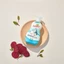 Nước Rửa Bình Sữa Hữu Cơ Kháng Khuẩn Cho Bé RedRoot Chai Lớn 750ml