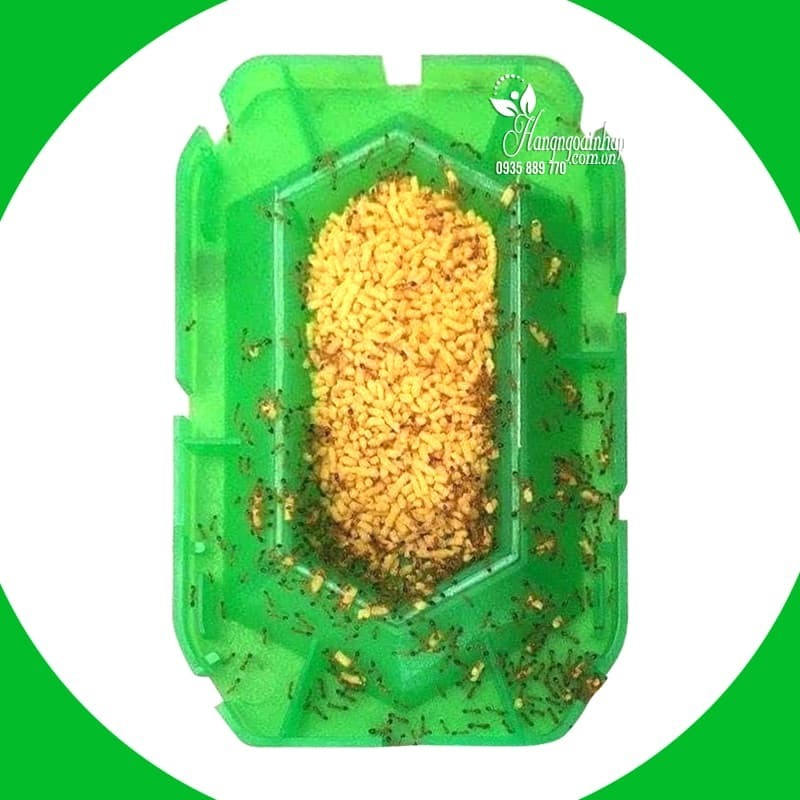 Diệt kiến Super Arinosu Koroki Nhật Bản (Hộp - 2 Vỉ) Date mới 2028