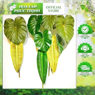 🌿 BỘ LÁ CHUỐI ĐỘT BIẾN – LÁ MÔN RÁCH – LÁ MÔN NHIỀU MÀU (TRANG TRÍ NGHỆ THUẬT) Thương hiệu: Hoa Lan Phúc Thịnh – Officia