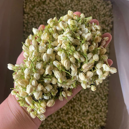 Trà Hoa Nhài 1Kg - Hàng Loại 1, Trắng Đẹp, Thơm Tự Nhiên
