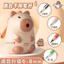 Gọt bút chì quay tay capybara