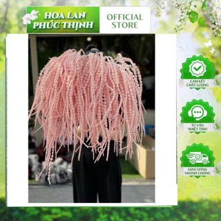 🌸 HOA RỦ DỀN XỐP MÀU HỒNG PASTEL - TRANG TRÍ ĐỘC ĐÁO Thương hiệu: Hoa Lan Phúc Thịnh – Official Store
