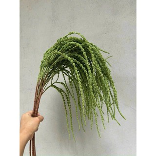🌸 HOA RỦ DỀN XỐP MÀU HỒNG PASTEL - TRANG TRÍ ĐỘC ĐÁO Thương hiệu: Hoa Lan Phúc Thịnh – Official Store