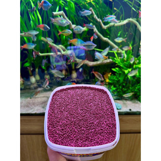 Cám Red Worm Dạng Sâu Đỏ cho cá, Tăng size, Kích Màu