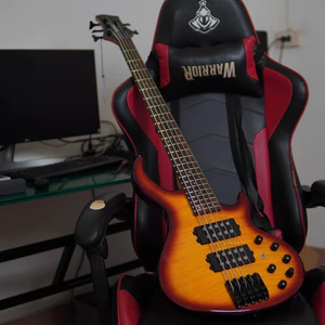 Bass 5 dây có pre Dallas B5