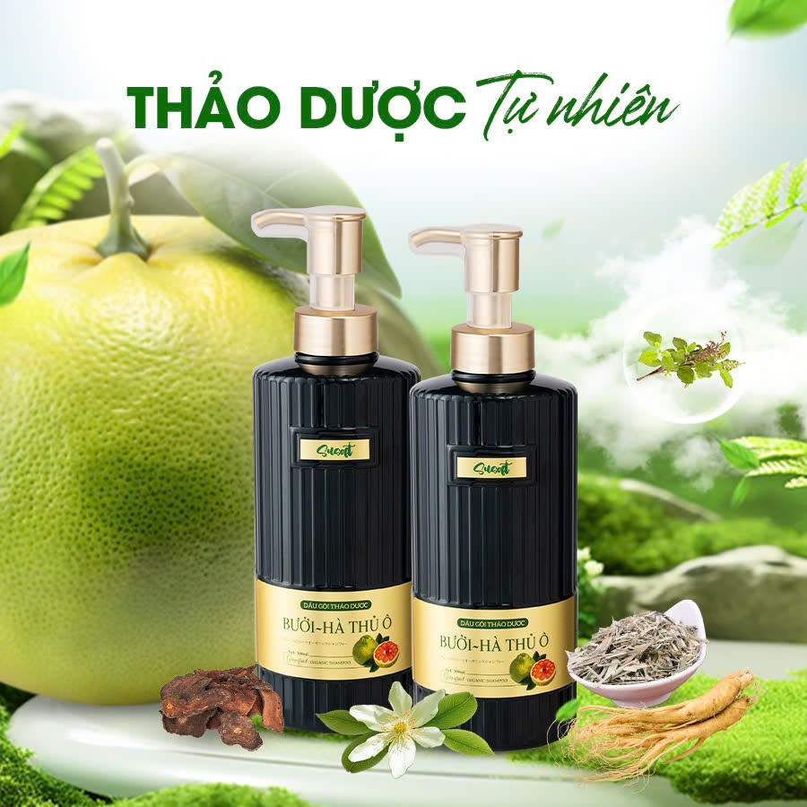 Dầu XẢ Bưởi Hà Thủ Ô Susoft – Giảm Rụng, Mọc Tóc, Dưỡng Tóc Suôn Mượt - 500ml
