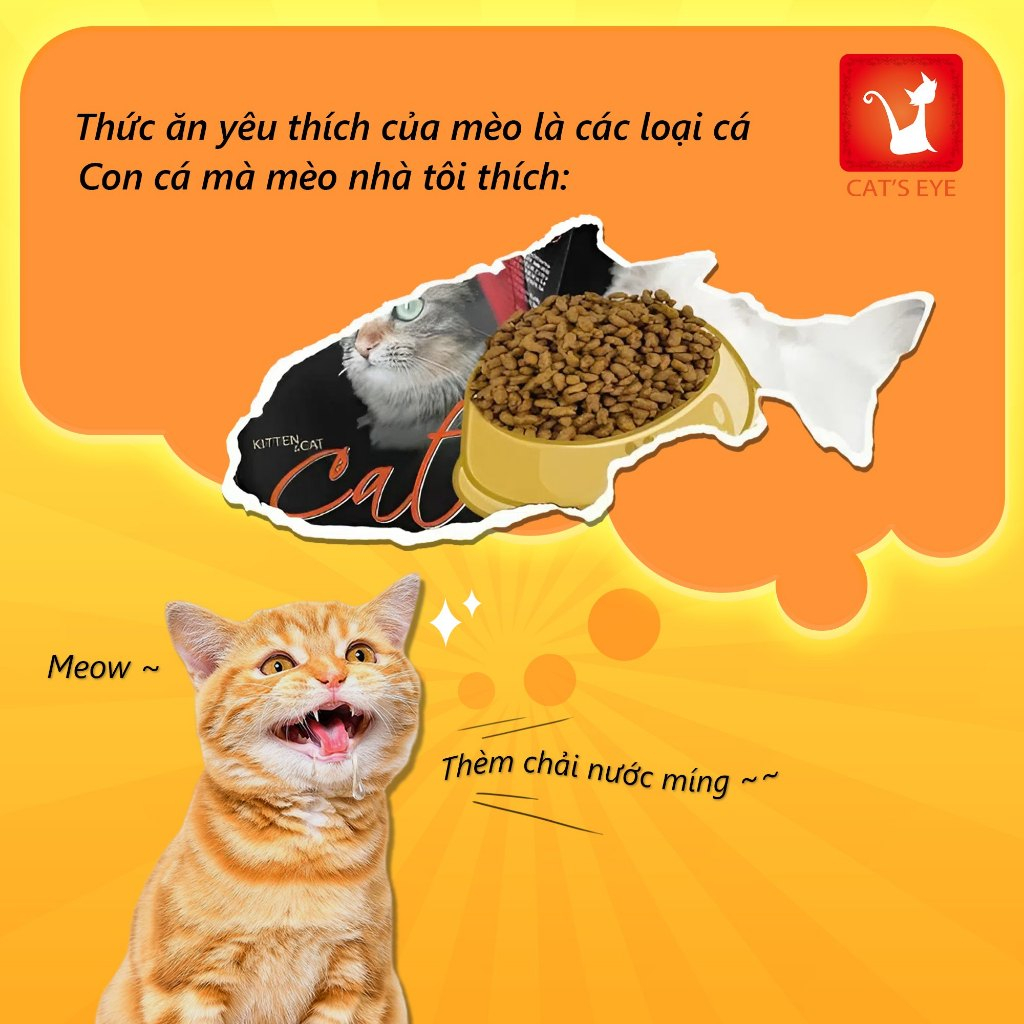 CAT'S EYE 20KG - Hạt Cateye thức ăn cho mèo mọi lứa tuổi cao cấp Hàn Quốc