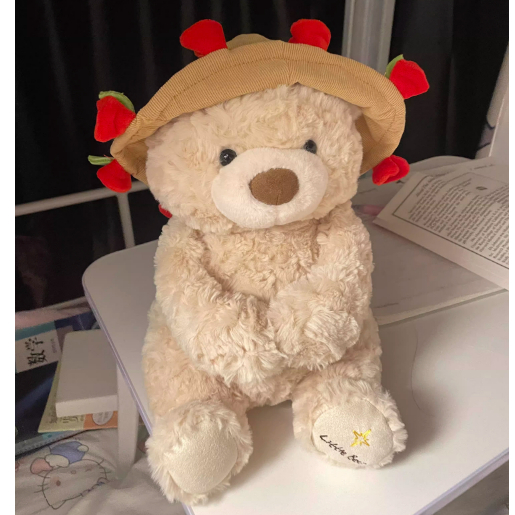 Gấu bông teddy ôm mũ bó hoa dễ thương làm quà tặng sinh nhật,ngày lễ valentine cho bạn gái, người yêu