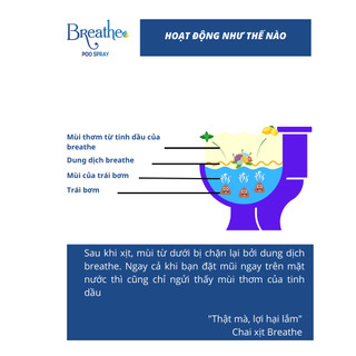 Combo tiết kiệm xịt thơm Breathe ngăn mùi toilet-đi ngoài thơm hơn đi tắm-Chọn mùi ở phần ghi chú