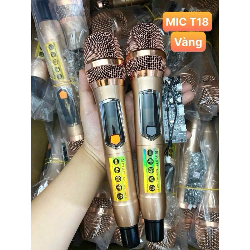 MICRO LOA KÉO T18 HÁT SIÊU NHẸ CHỐNG HÚ CỰC TỐT HÀNG CHẤT LƯỢNG ...