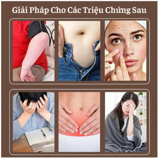 Hộp 5 Miếng Dán Giảm Mỡ Bụng Thảo Dược Giảm Béo Tan Mỡ Detox Thải Độc Cơ Thể Hiệu Quả Tiện Lợi