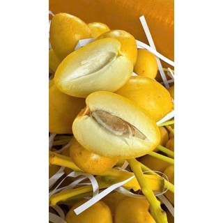 ( JENNY FRUIT ) Thùng Chà là tươi nguyên cành cả thùng 6kg có rụng nhé