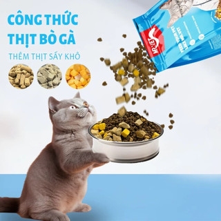 [COMBO 1,2,3,4,5] Gói Hạt MR VET Holistic 1kg Cho Mèo Với 30% Protein Kèm Topping Túi 1kg