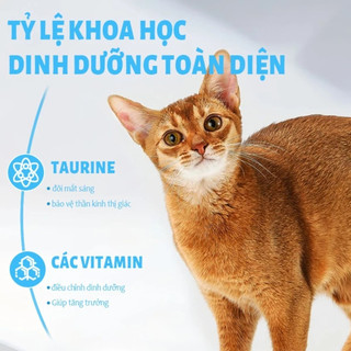 [COMBO 1,2,3,4,5] Gói Hạt MR VET Holistic 1kg Cho Mèo Với 30% Protein Kèm Topping Túi 1kg