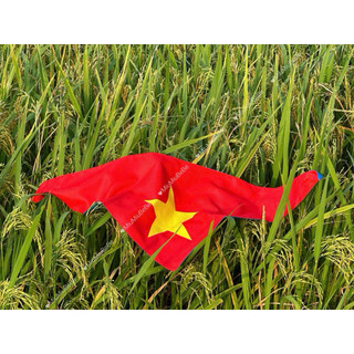 [Dũi Cotton dày] Khăn choàng 2 mặt xanh đỏ in sao vàng Việt Nam cho các ngày lễ Tổ quốc