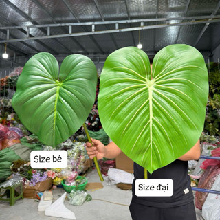🌿 BỘ LÁ CHUỐI ĐỘT BIẾN – LÁ MÔN RÁCH – LÁ MÔN NHIỀU MÀU (TRANG TRÍ NGHỆ THUẬT) Thương hiệu: Hoa Lan Phúc Thịnh – Officia