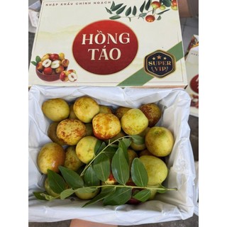 ( JENNY FRUIT ) Hộp Táo tàu phiên bản quà tặng cứng trái giòn ngọt lun hộp 1kg