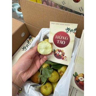 ( JENNY FRUIT ) Hộp Táo tàu phiên bản quà tặng cứng trái giòn ngọt lun hộp 1kg