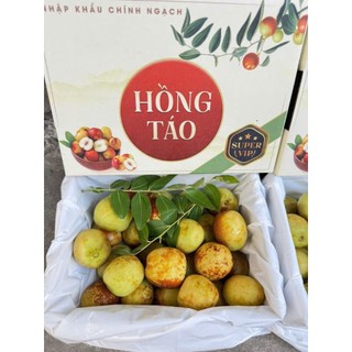 ( JENNY FRUIT ) Hộp Táo tàu phiên bản quà tặng cứng trái giòn ngọt lun hộp 1kg