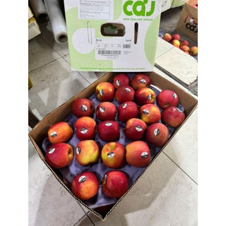 ( HỎA TỐC ) Táo mật newzealand cứng trái giòn ngọt 1kg