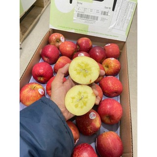 ( HỎA TỐC ) Táo mật newzealand cứng trái giòn ngọt 1kg