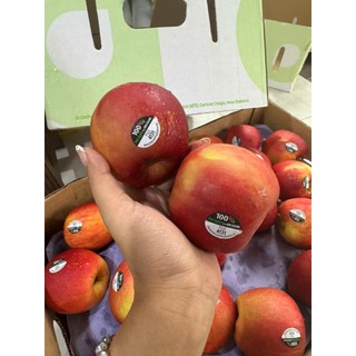 ( HỎA TỐC ) Táo mật newzealand cứng trái giòn ngọt 1kg