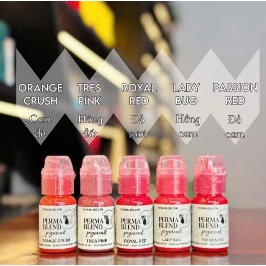 Mực PERMA BLEND 15ML Chính Hãng USA Phun Xăm Thẩm Mỹ