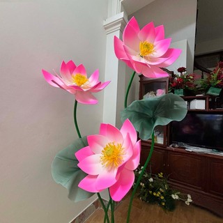 Hoa sen khổng lồ trang trí trong nhà và ngoài trời, có thể sử dụng làm đạo cụ múa văn nghệ - Học viện Sao Băng