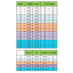 Set bộ phối cà vạt cổ thời thượng – Công sở, dạo phố – Bộ quần áo nữ – Tôn dáng, che khuyết điểm  [VT24171] — ảnh 8