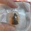 Móc khóa mini 5cm dễ thương – Treo balo, ví, chìa khóa tiện lợi