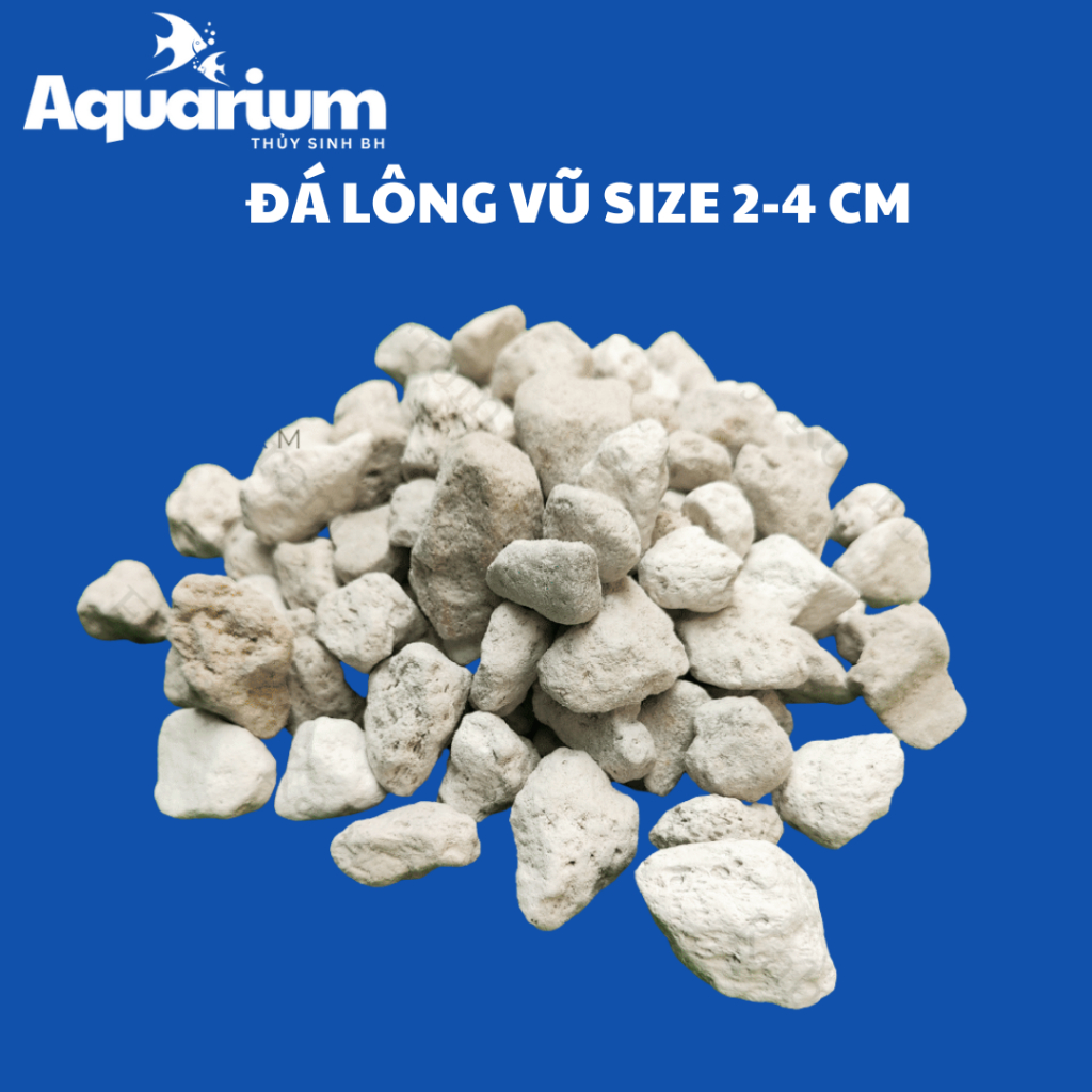 Vật liệu lọc Đá Lông Vũ (1kg) - Nham Thạch Trắng Thổ Nhĩ Kỳ KT 2-4cm