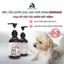 Sữa Tắm Cho Chó, Mèo Bubuwash Thơm Lâu, Loại Bỏ Ve, Rận, Nấm Ngứa, Viêm Da, Khử Hôi, Dưỡng Mượt Lông