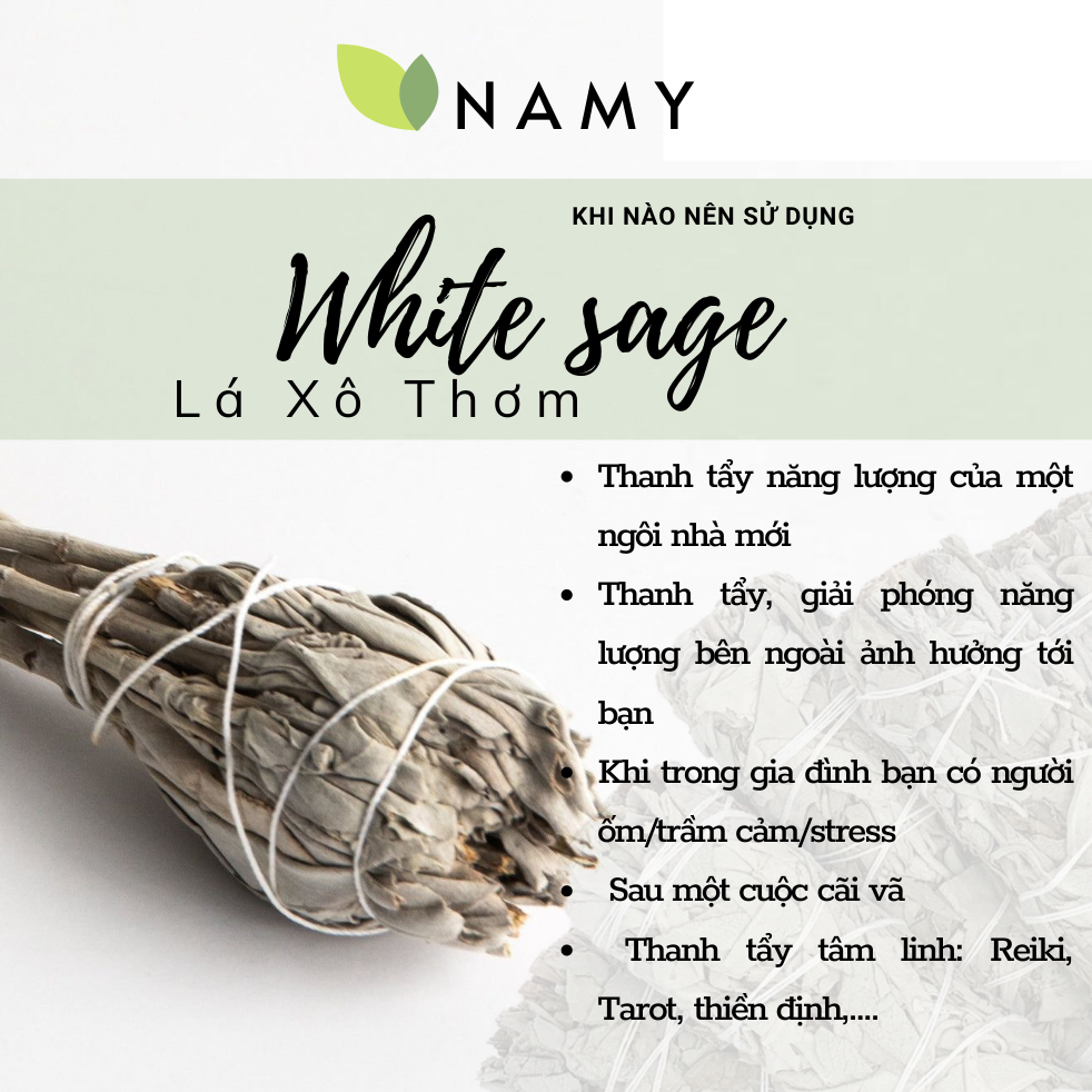 [ĐƯỢC YÊU THÍCH NHẤT]Lá xô thơm trắng Thanh tẩy - White Sage - Thảo mộc ...