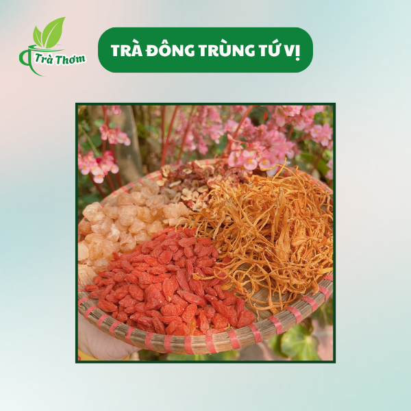 Thiết kế của Ô Cao Cấp