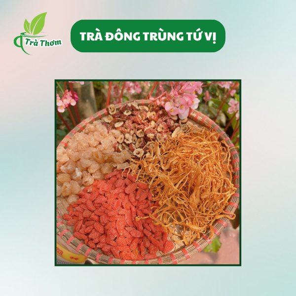 Chất lượng Ô Tiêu Chuẩn