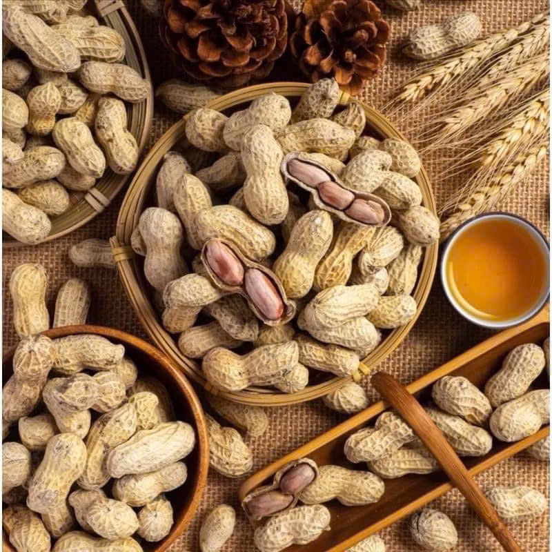 500G Lạc Củ Tầm Vị, Lạc Rang Nguyên Vỏ Tẩm Vị , Đậu Phộng Nguyên Vỏ Rang Chín Tẩm Vị, Ăn Vặt Mẹ Mun