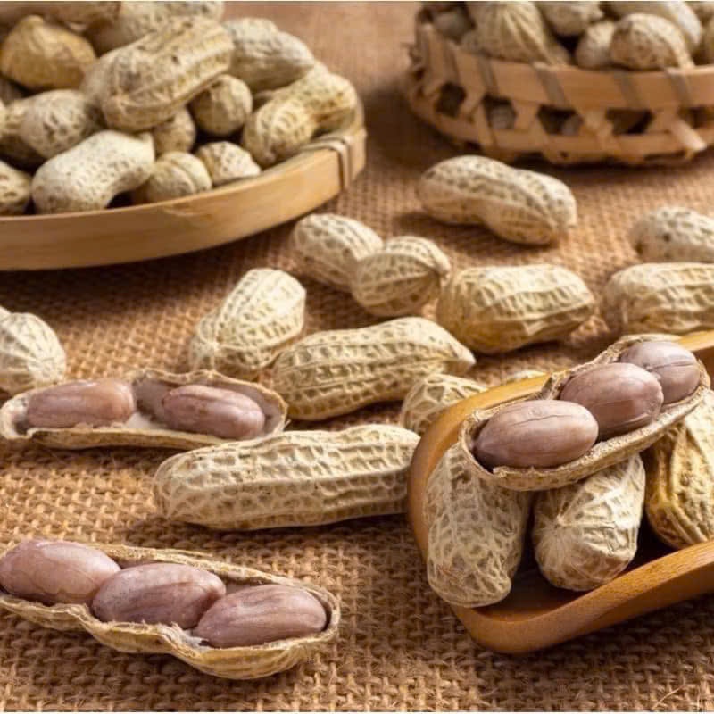 500G Lạc Củ Tầm Vị, Lạc Rang Nguyên Vỏ Tẩm Vị , Đậu Phộng Nguyên Vỏ Rang Chín Tẩm Vị, Ăn Vặt Mẹ Mun
