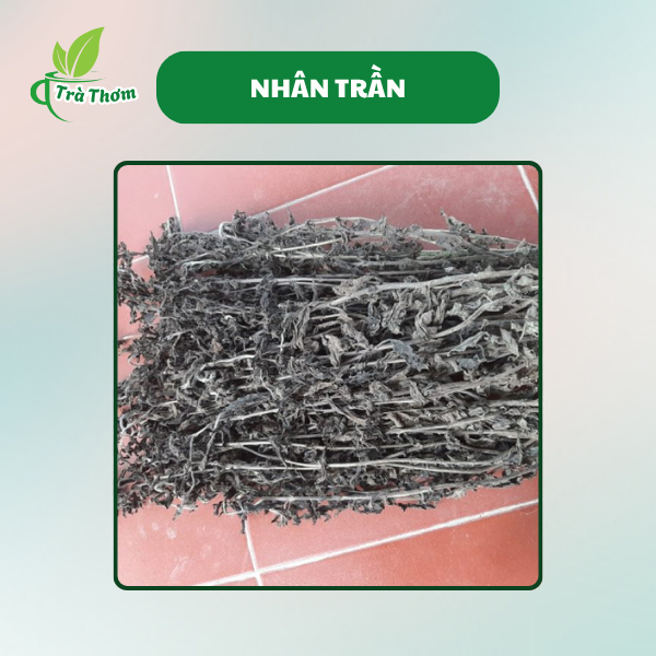 Thiết kế của Trà Nhân Trần Tiêu Chuẩn