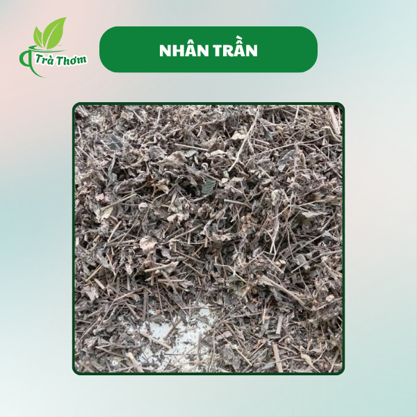 Sử dụng Trà Nhân Trần Cao Cấp trong đời sống